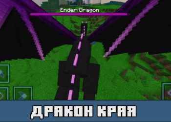 Дракон Края в моде на превращение в дракона для Майнкрафт ПЕ