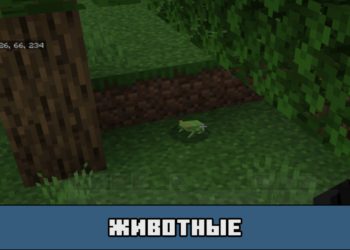 Животные в моде на новых мобов для Майнкрафт ПЕ