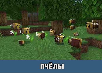 Пчёлы в Майнкрафт ПЕ