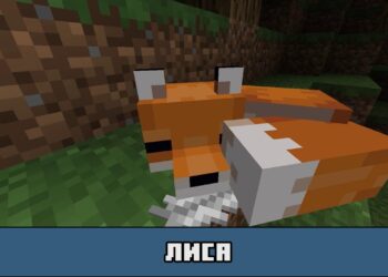 Лиса в Майнкрафт ПЕ