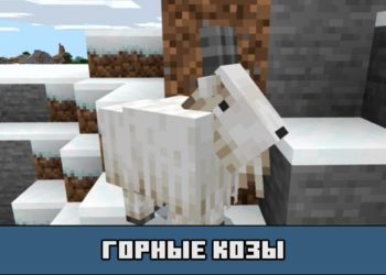 Горные козы в Майнкрафт ПЕ