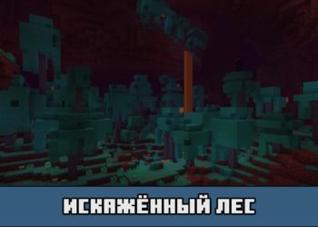 Искажённый лес в Майнкрафт ПЕ
