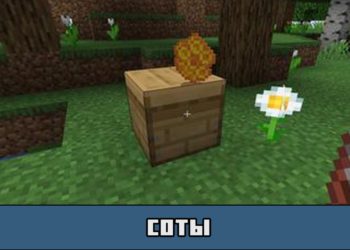 Соты в Майнкрафт ПЕ