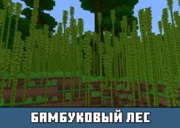 Бамбуковый лес из Майнкрафт 1.9