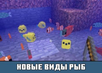 Новые виды рыб из Майнкрафт 1.4