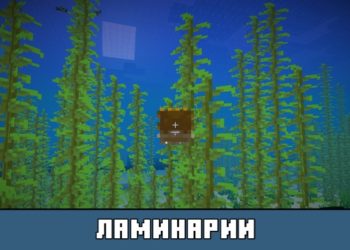 Ламинарии из Майнкрафт 1.4