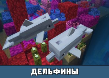 Дельфины из Майнкрафт 1.4