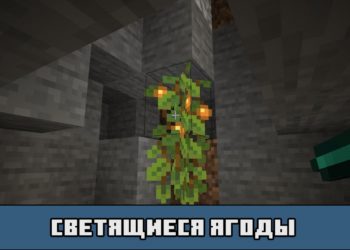 Светящиеся ягоды в Майнкрафт 1.17