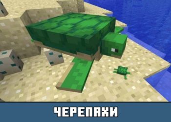 Черепахи из Майнкрафт 1.5