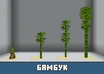 Бамбук из Майнкрафт 1.8