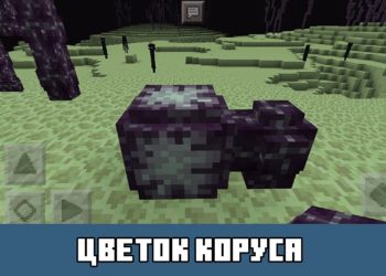 Цветок коруса Minecraft PE