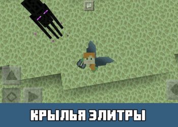 Крылья Элитры Minecraft PE