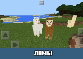Ламы Minecraft PE