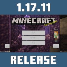 Minecraft PE 1.17.11