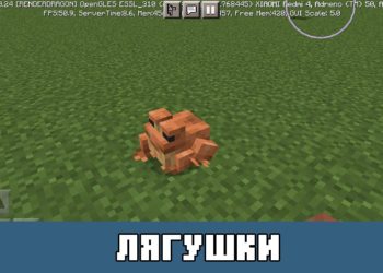 Лягушки Minecraft PE 1.18