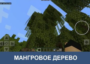 Мангровое дерево Minecraft PE