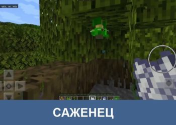Саженец Minecraft PE
