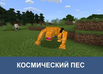 Космический пес Minecraft PE