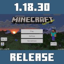 Minecraft PE 1.18.30