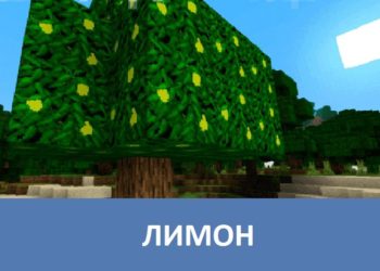 Лимон Minecraft PE