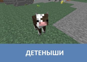 Детеныши Minecraft PE