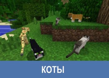 Коты Minecraft PE