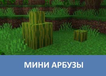 Мини арбузы Minecraft PE