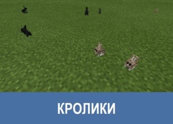 Кролики Minecraft PE