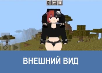 Внешний вид Minecraft PE