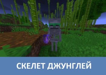 Скелет джунглей Minecraft PE