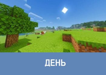 День Minecraft PE