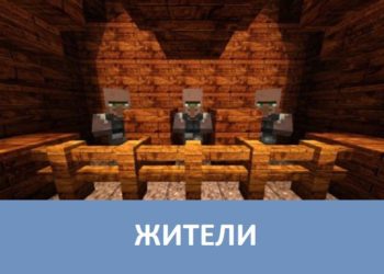 Жители Minecraft PE
