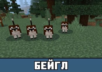 Бейгл из Мода на Домашних животных для Майнкрафт ПЕ