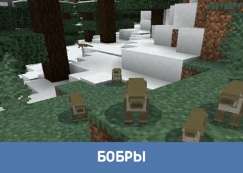 Бобры из Мода на диких животных для Майнкрафт ПЕ