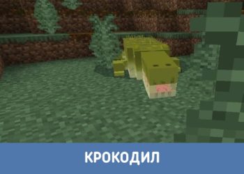Крокодил из Мода на диких животных для Майнкрафт ПЕ