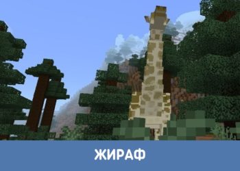 Жираф из Мода на диких животных для Майнкрафт ПЕ