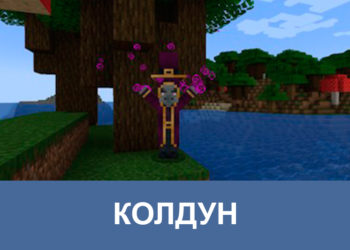 Колдун в майнкрафт 1.22